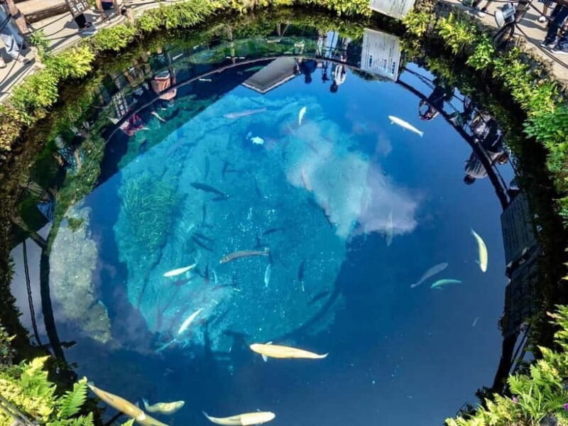 Mt Fuji Top 5 Spots Day Tour: Arakurayama Park,Oshino Hakkai - Final Thoughts