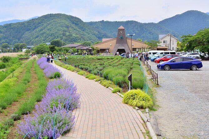 Mt.Fuji Tour: 3-Parks & The Healing Village in Fujiyoshida, Japan - Final Word