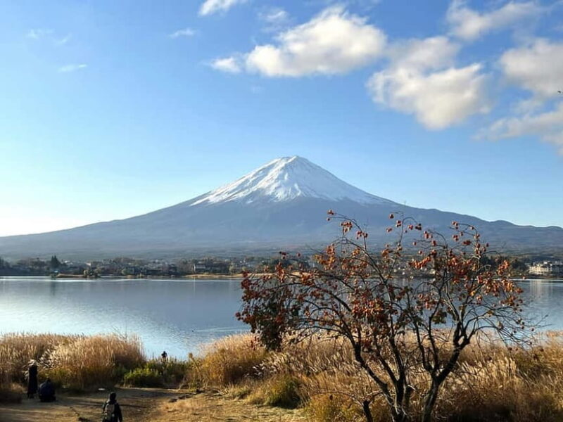 Mt Fuji Tour Customizable, fully Licenced Tour Operator - Key Points