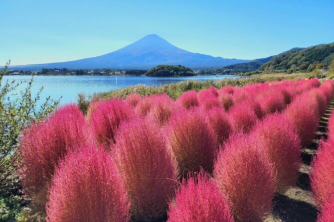 Mt Fuji Tour from Shimizu Port by Private Car - Key Points