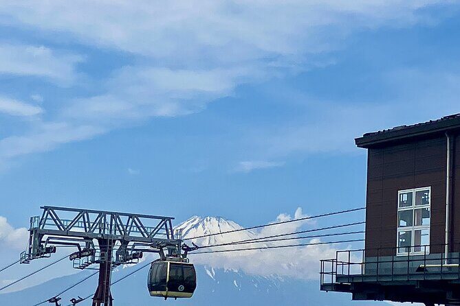 Mt Fuji Tour from Shimizu Port by Private Car - Final Thoughts