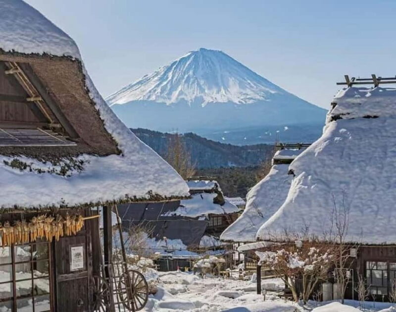 Mt Fuji Tour: Lake Kawaguchi, Shrine,Healing Village &Pagoda - Key Points