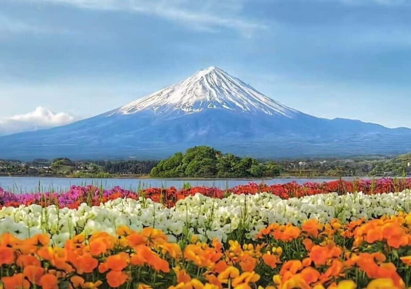 Mt Fuji Tour: Lake Kawaguchi, Shrine,Healing Village &Pagoda - FAQ