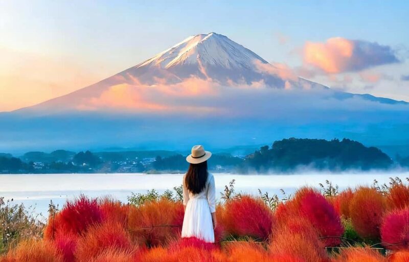 Mt. Fuji Tour: Lake Kawaguchiko Ropeway,Matcha,Oshino Hakkai - Who Will Enjoy This Tour?