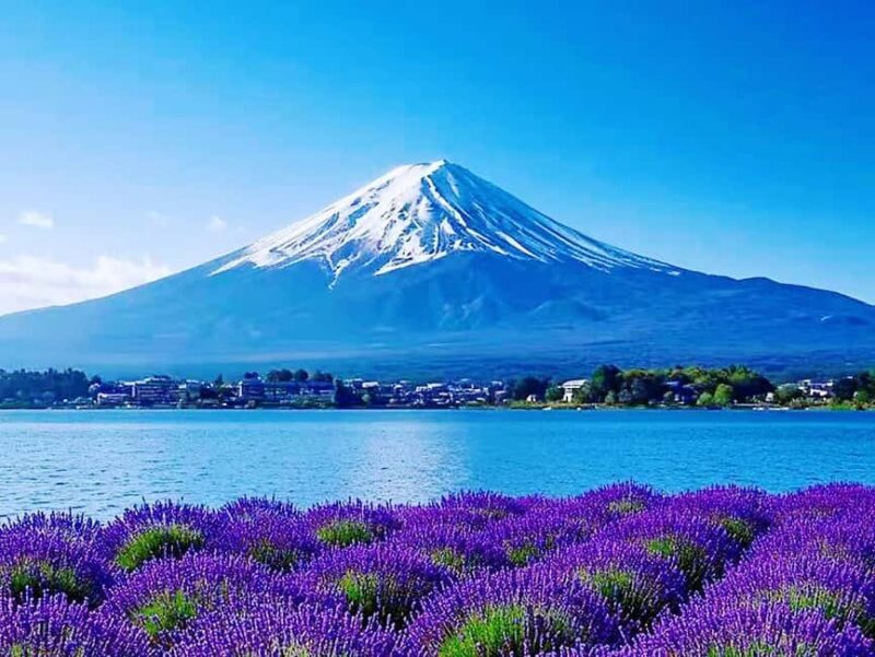 Mt. Fuji Tour: Lake Kawaguchiko Ropeway,Matcha,Oshino Hakkai - The Sum Up