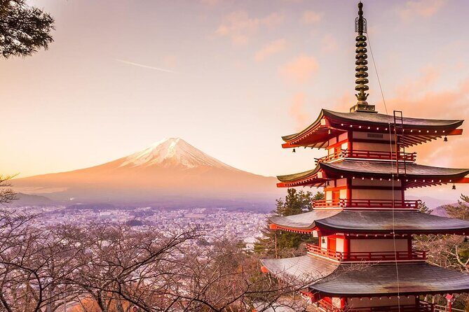 Mt. Fuji Tours with Kawaguchi Lake Ropeway View English Speaking - Who Should Consider This Tour?