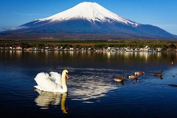 Mt Fuji Twin Lakes Maple Festival Night Lights Tour - FAQ