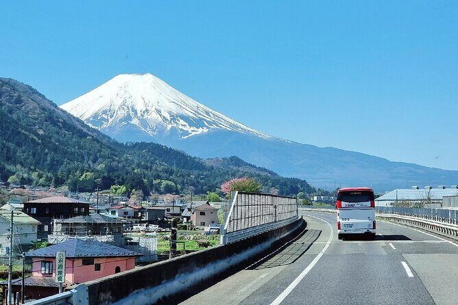 Mt. Fuji View and 2hours+ free time at Gotemba Premium Outlets - Exploring the Tour in Depth