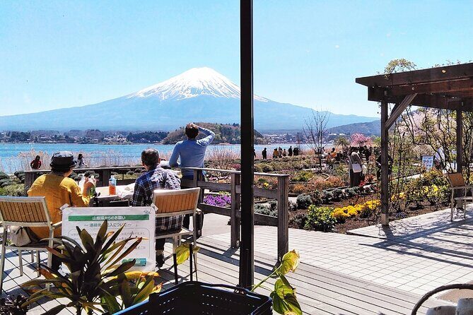 Mt. Fuji View and 2hours+ free time at Gotemba Premium Outlets - Who Should Take This Tour?