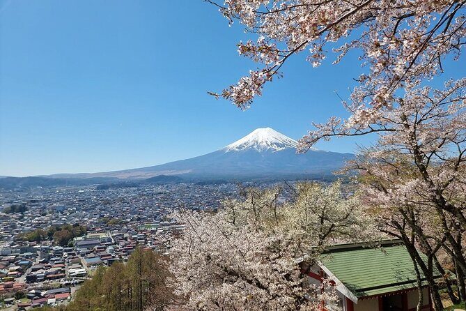 Mt. Fuji View and 2hours+ free time at Gotemba Premium Outlets - The Sum Up