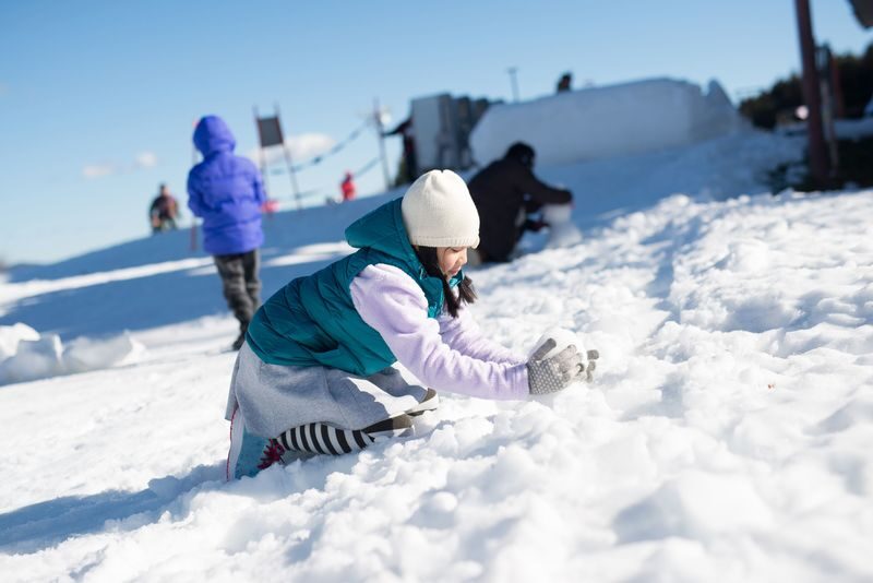 Mt. Fuji View: Snow Fun at Fujiten & Oishi Park Sightseeing Tour - Four hours at Fujiten: choose snow, not guesswork