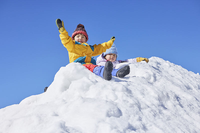 Mt. Fuji View: Snow Fun at Fujiten & Oishi Park Sightseeing Tour - The bus and guides are part of the value