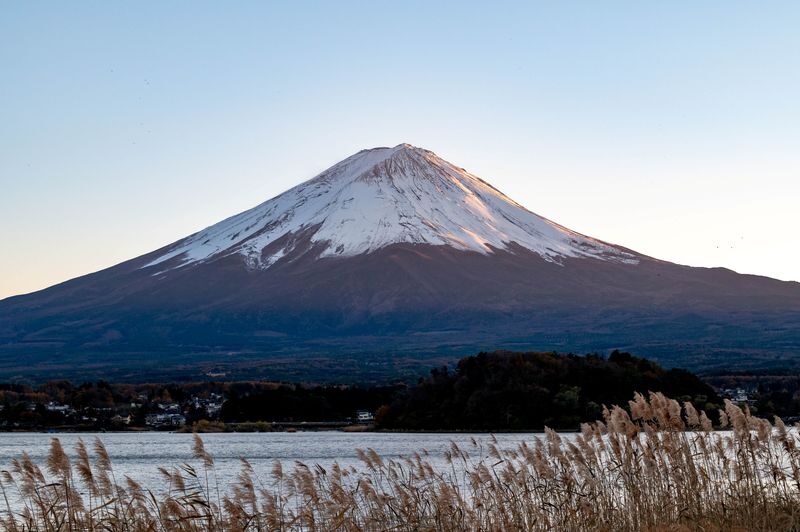 Mt. Fuji View: Snow Fun at Fujiten & Oishi Park Sightseeing Tour - Who should book this winter outing?