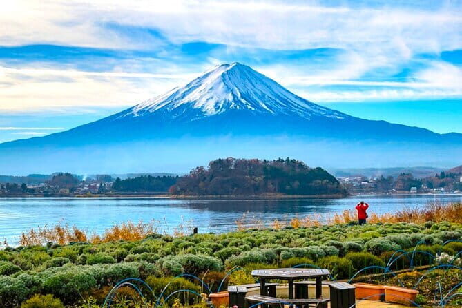 Mt. Fuji viewing & Suntory Hakushu Distillery Whisky Museum - Final Thoughts