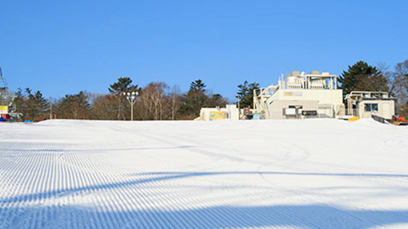 Mt. Fuji Yeti Skiing & "Konohana no Yu" Hot Spring (Mt. Fuji Viewable) Day Trip (From Tokyo) - The Tokyo transfer and a full day out