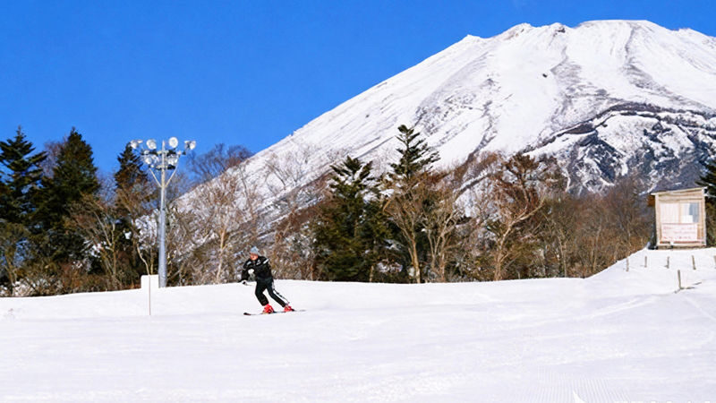 Mt. Fuji Yeti Skiing & "Konohana no Yu" Hot Spring (Mt. Fuji Viewable) Day Trip (From Tokyo) - What the price really includes