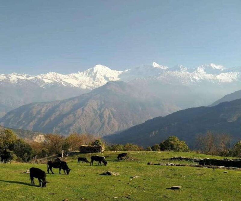 Mt. Ganesh Himal (Yangra) 2025/2026 - Climbing Mt. Ganesh Himal I (Yangra Kangri)