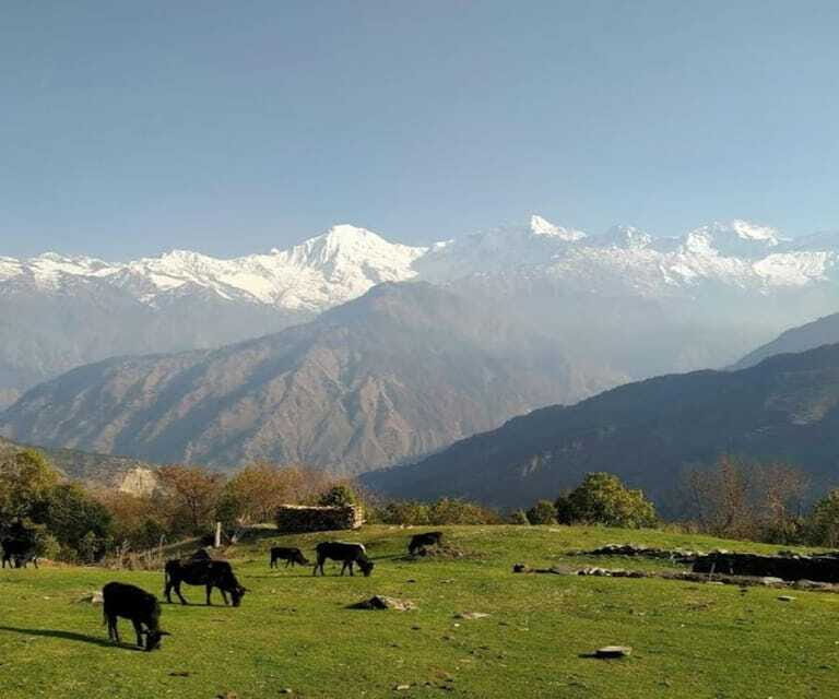 Mt. Ganesh Himal (Yangra) 2025/2026 - Who Should Consider This Trek?
