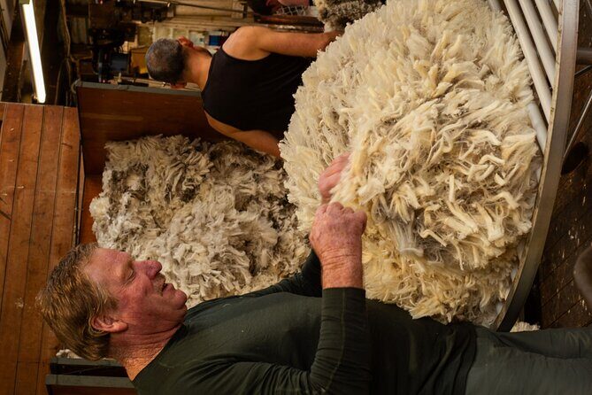 Mt. Hay Farm Experience Genuine Country Farming(Carbon Positive) - Key Points