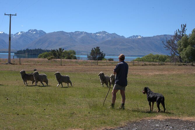 Mt. Hay Farm Experience Genuine Country Farming(Carbon Positive) - Frequently Asked Questions