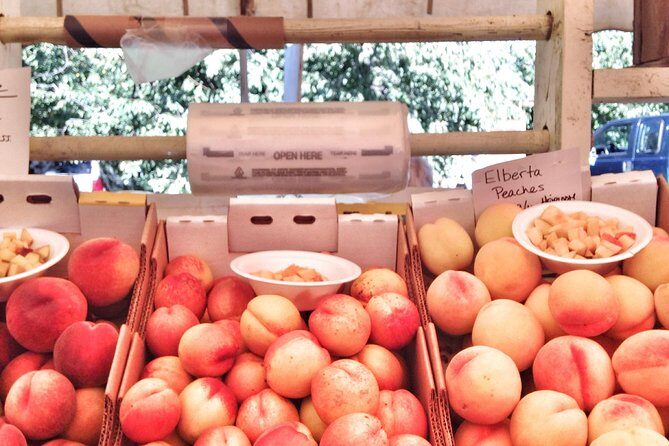 Mt Hood Day Trip from Portland to Multnomah Falls and Hood River - Who Should Consider This Tour?