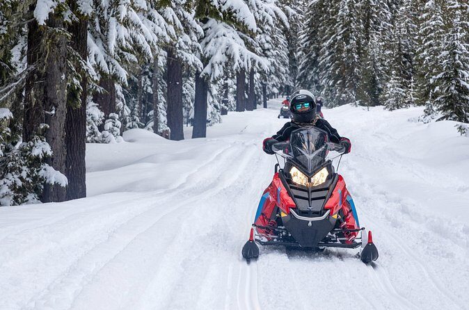 Mt Hood National Forest - 90 Minute Snowmobile Adventure - Final Thoughts: Who Will Love This Tour?