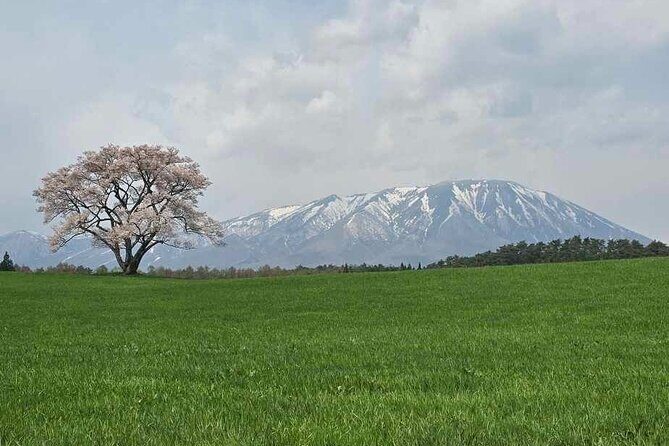 Mt. Iwate Panorama Cycling Tour: Culture and Scenic Views - Key Points