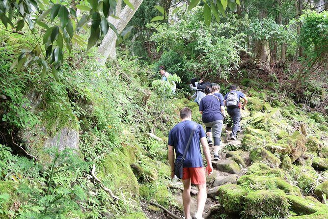 Mt Nokogiri Adventure A Guided Hike on the Boso Peninsula - Key Points