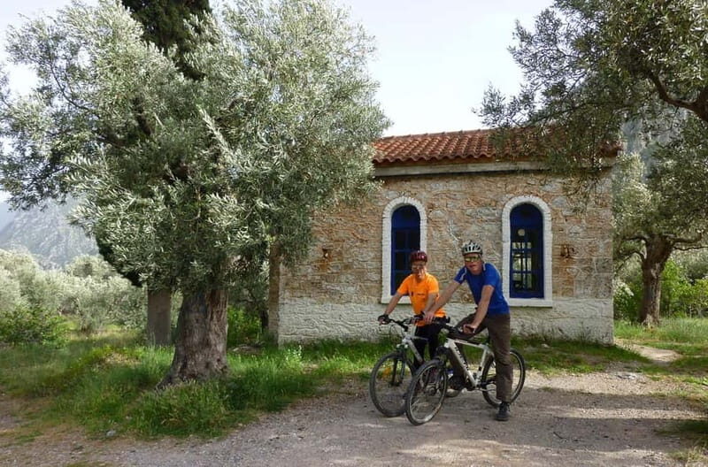 Mt. Parnassos: Mountain Bike in Altitude Forest - Key Points