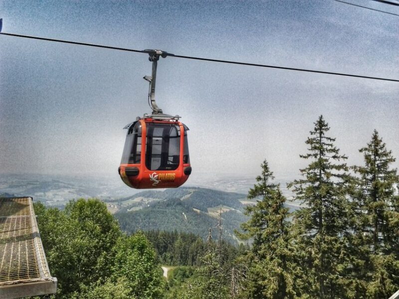 Mt. Pilatus Golden Roundtrip Private Day Trip from Basel - FAQ
