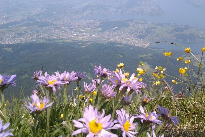 Mt. Pilatus Golden Roundtrip Private Day Trip from Basel - Guides and Personal Service