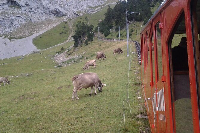 Mt. Pilatus Golden Roundtrip Small Group Day Trip from Lucerne - FAQs