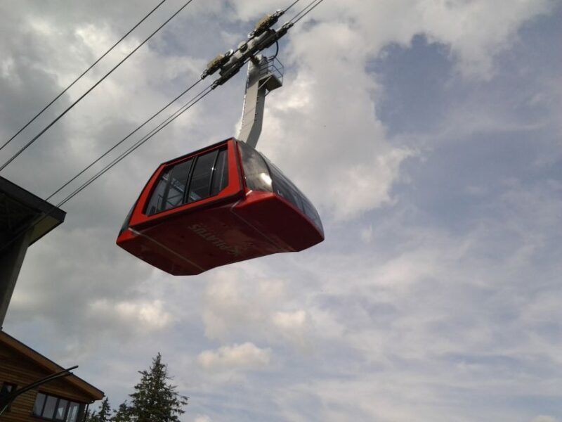 Mt.Pilatus Golden Roundtrip Small Group Day Trip from Luzern - Who Should Consider This Tour?