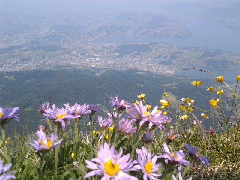 Mt.Pilatus Golden Roundtrip Small Group Day Trip from Luzern - FAQs