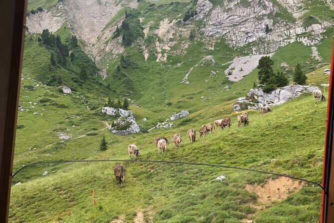 Mt. Pilatus with Lake of Lucerne Cruise Private Tour from Lucerne - Who Would Enjoy This Tour?