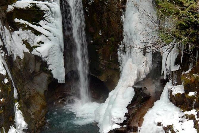 Mt. Rainier National Park Day Tour from Seattle - An Honest Look at the Mount Rainier Day Trip