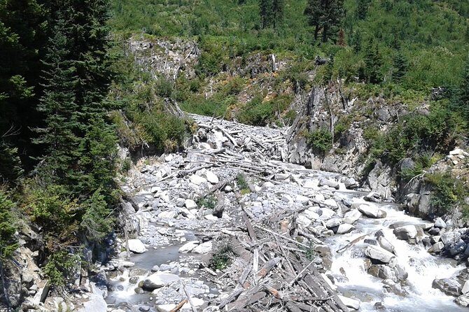 Mt Rainier Private Tour Experience in SUV - Start with Convenience and Comfort