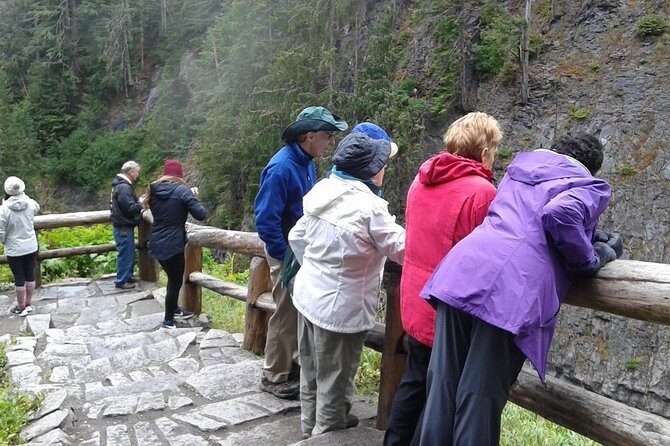 Mt Rainier Private Tour Experience in SUV - Scenic Return via a Different Route