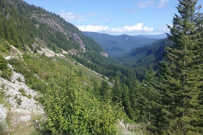 Mt Rainier Private Tour Experience in SUV - The Guide’s Expertise and Personal Touch