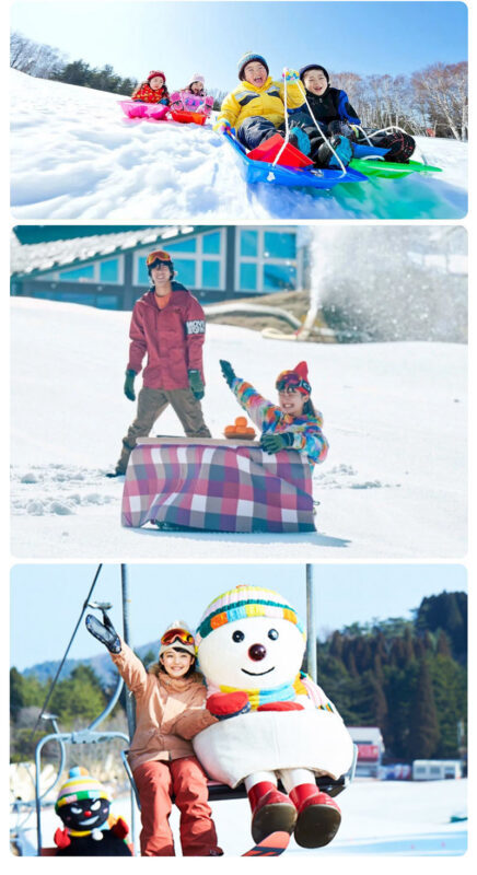 Mt Rokko Snow Park and Arima Onsen Ski Tour from Osaka - Should you book it?