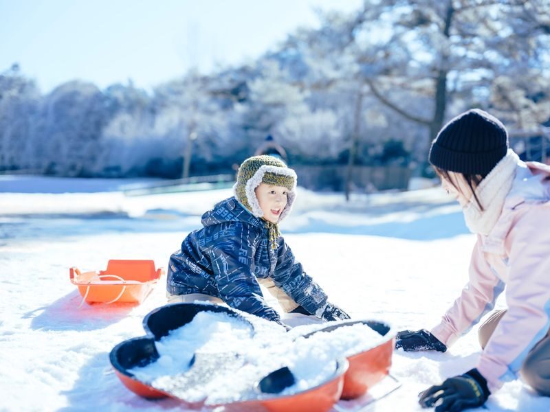 Mt. Rokko Snow Park Full-Day Guided Tour with Buffet - The best parts of the day