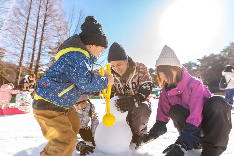 Mt. Rokko Snow Park Full-Day Guided Tour with Buffet - 13:00 crab buffet lunch