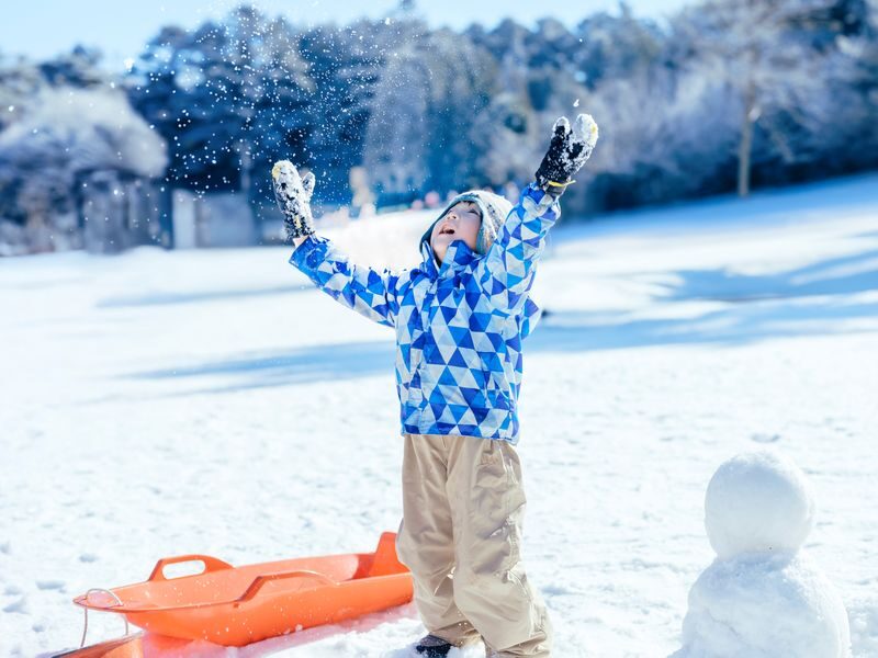 Mt. Rokko Snow Park Full-Day Guided Tour with Buffet - 15:00 strawberry picking
