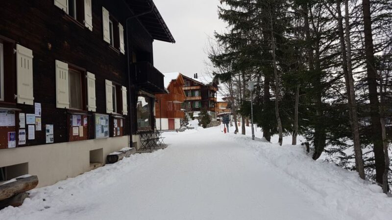 Mt. Schilthorn & Mürren Private Day Trip from Zürich - The Practicalities: What to Expect and What’s Included