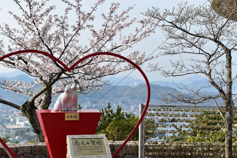 Mt. Senkoji Ropeway - Getting there and using your ticket