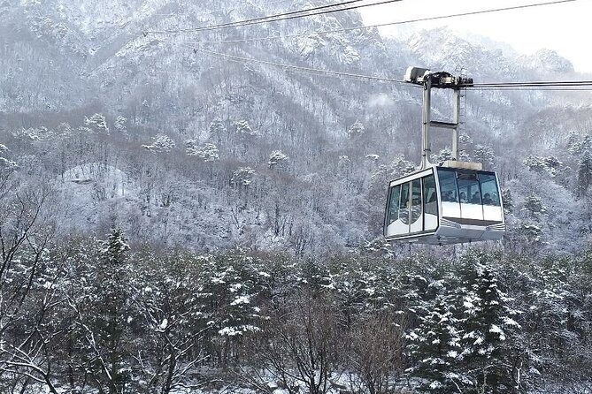 Mt. Seorak and Nami Island and Eobi Ice Valley from Seoul - Experience the Winter Charm of Korea in a Single Day