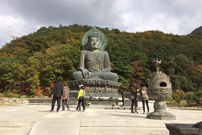 Mt. Seorak and Nami Island and Eobi Ice Valley from Seoul - Who Should Consider This Tour?
