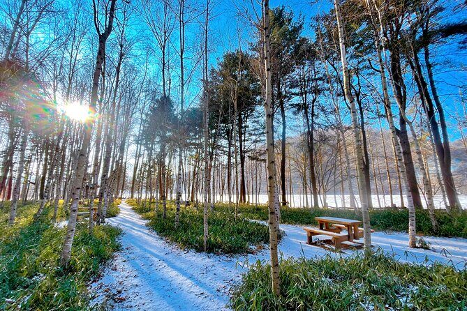 Mt. Seorak and Nami Island and Eobi Ice Valley from Seoul - FAQ