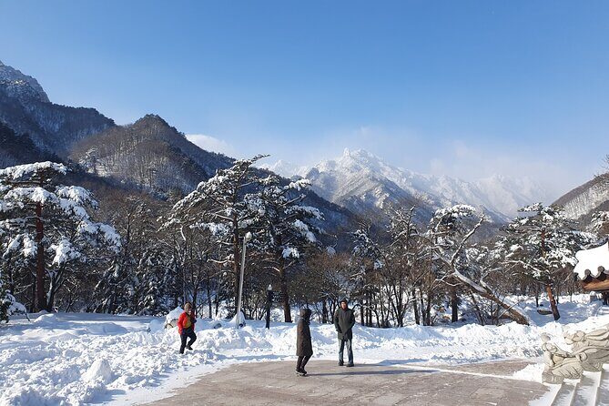 Mt. Seorak and Nami Island and Eobi Ice Valley from Seoul - Final Verdict