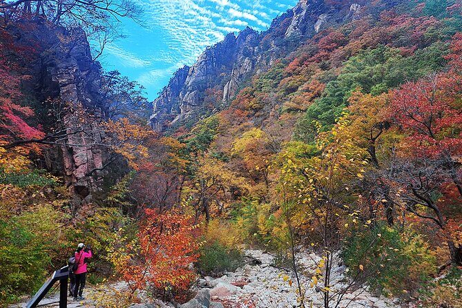 Mt. Seorak+Nami Island+Garden of Morning Calm Day Trip from Seoul - An In-Depth Look at the Tour Experience